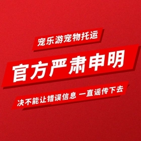 金毛厚厚死亡事件与一触即发天生赢家宠物托运无关