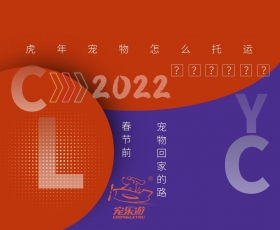 2020年春节宠物怎么托运